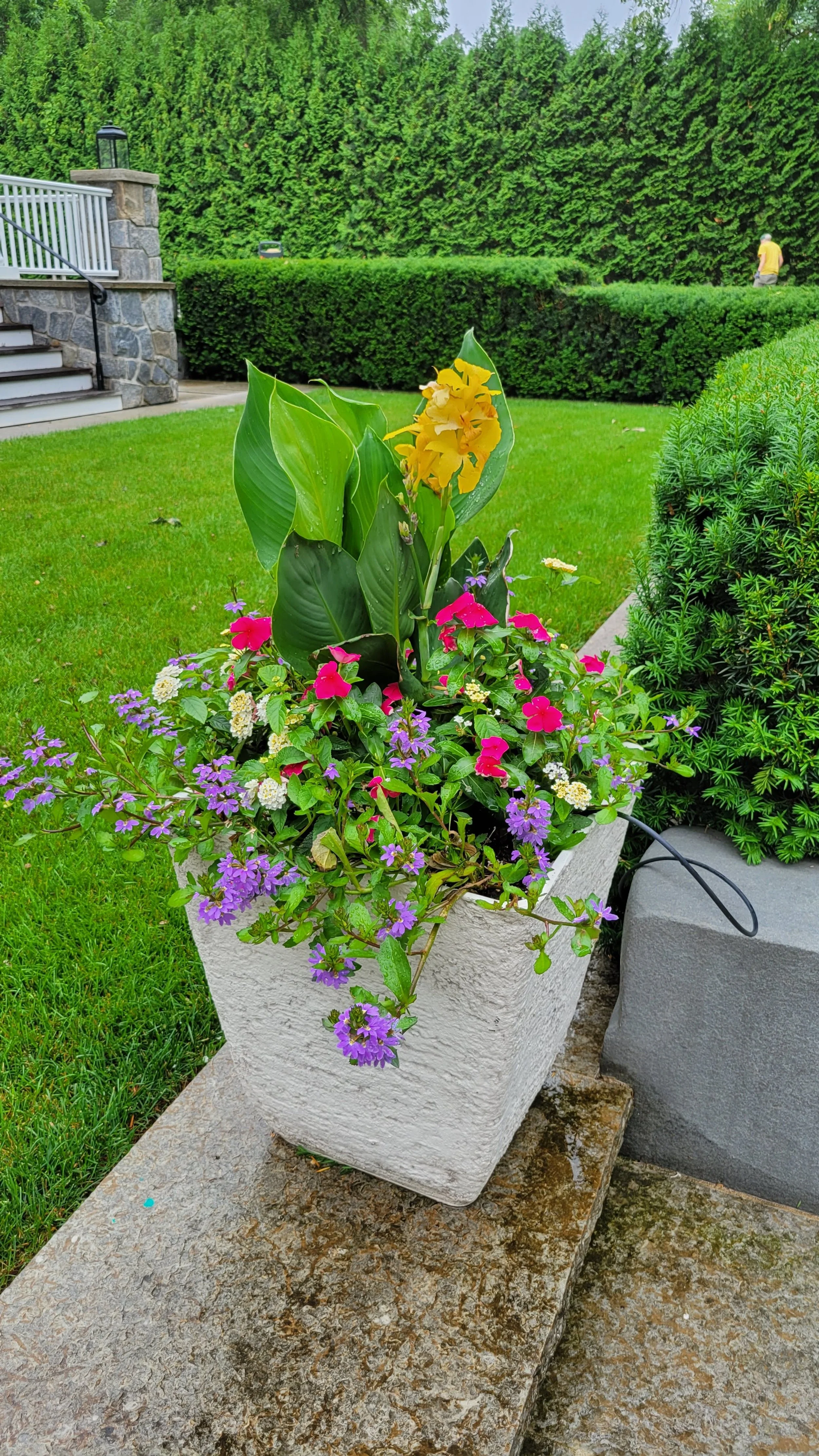 Container with various colorful flowers placed outdoors on a stone surface in a garden, with a neatly trimmed hedge, lush green grass, and trees in the background.