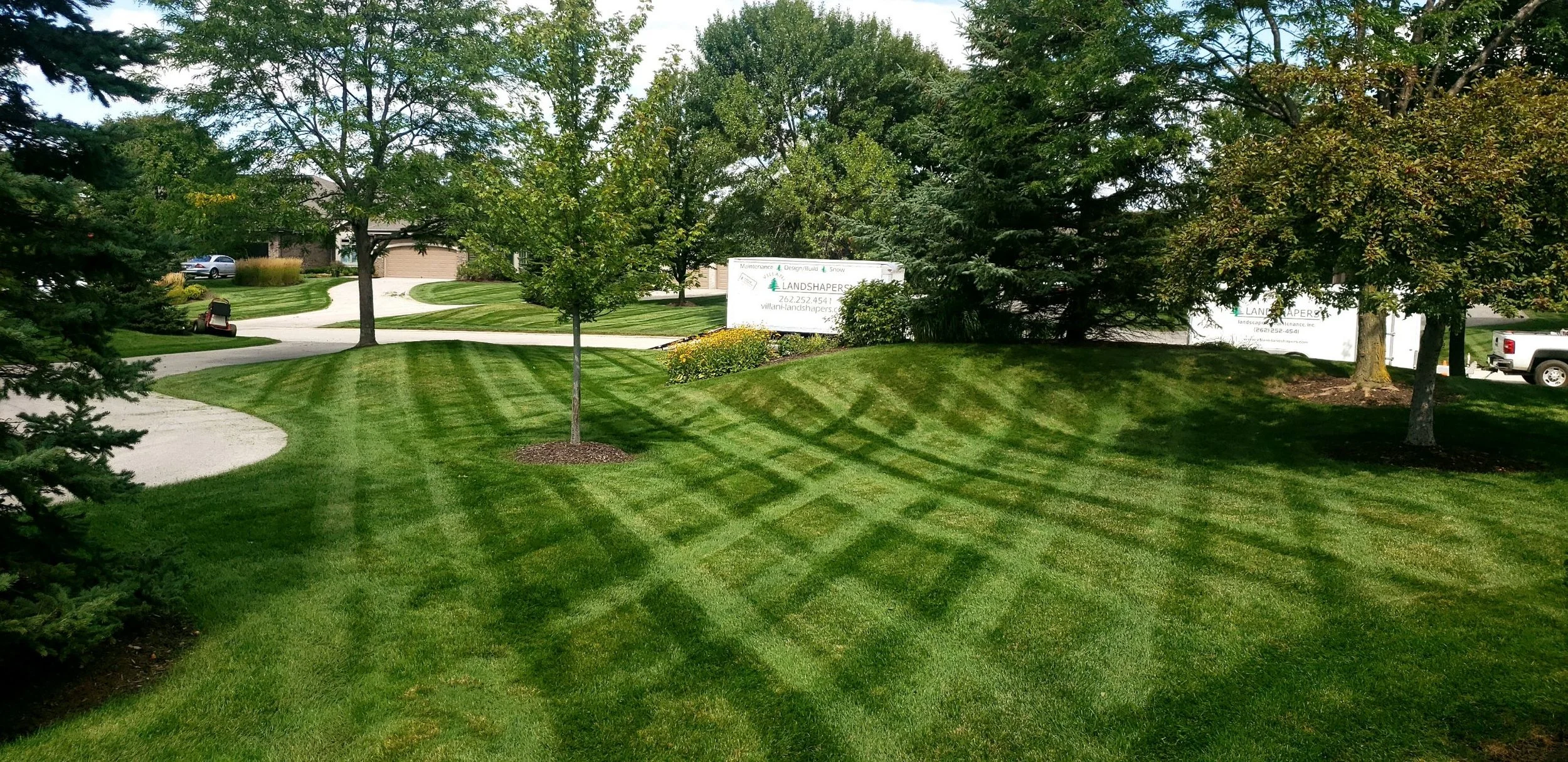 Revive Your Green Space: A Guide to Lawn Restoration