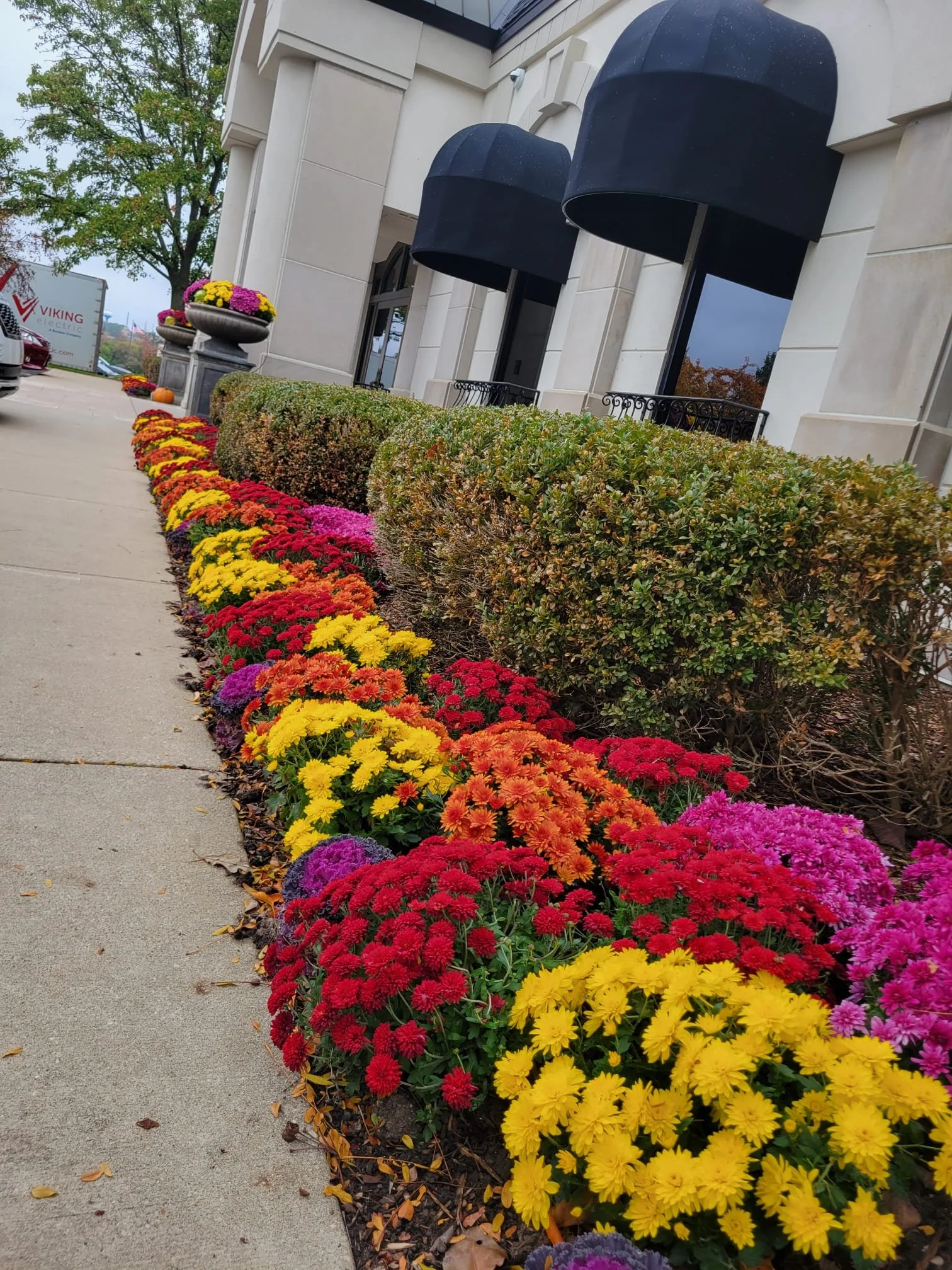 Embrace the Beauty of Fall with These Stunning Plants