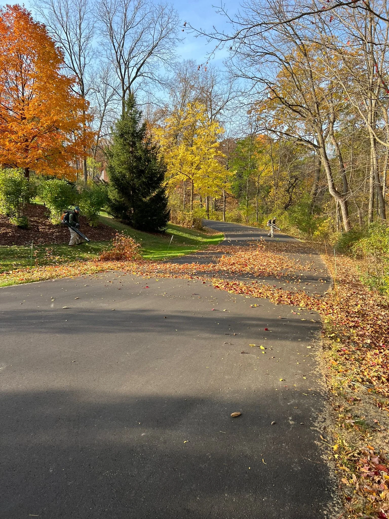 Preparing Your Landscape for the Late Fall Season
