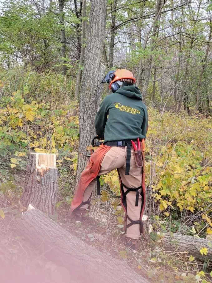 5 Landscape Issues Property Managers Should Address Before Summer