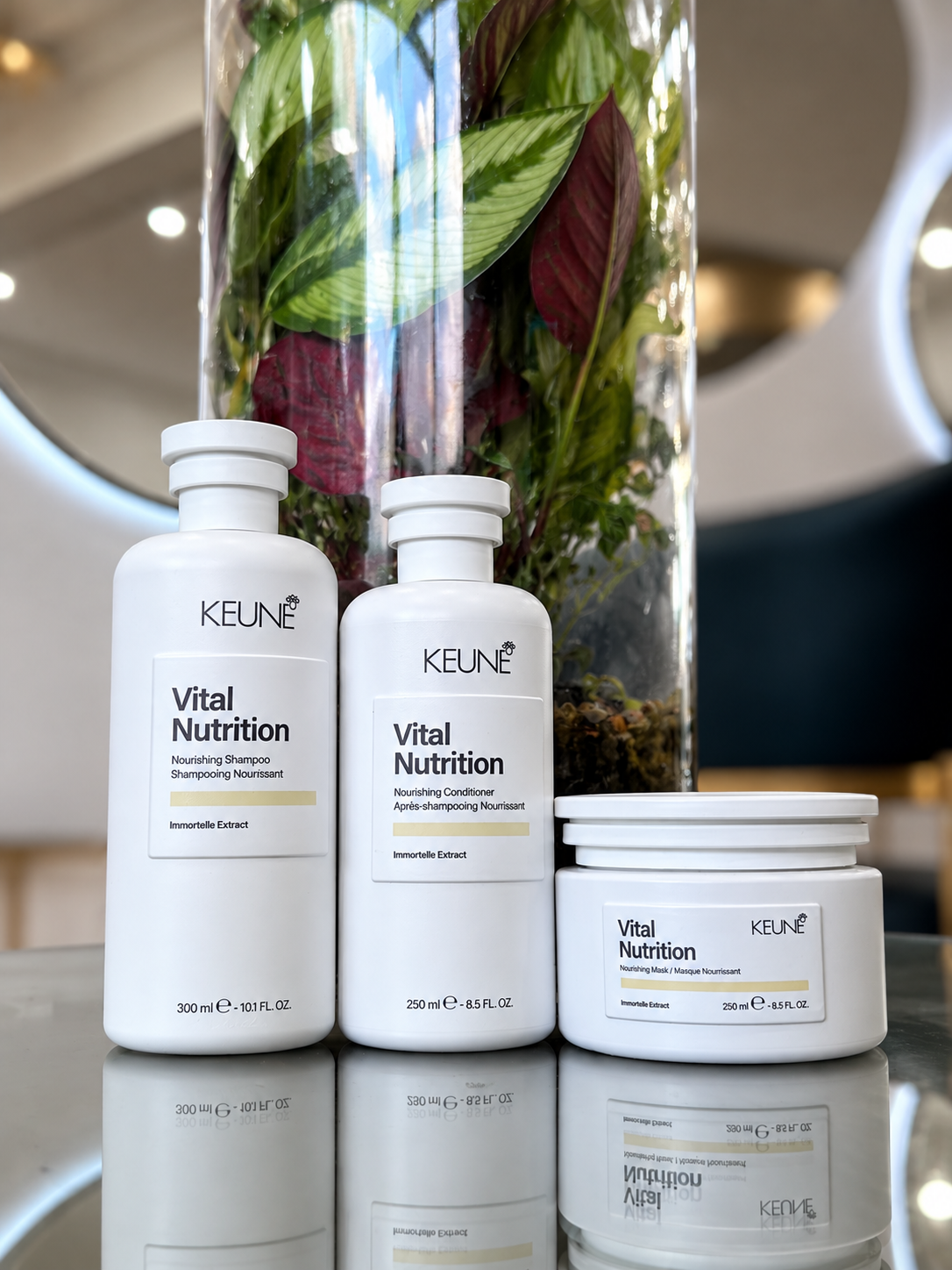 KEUNE CARE VITAL NUTRITION NOURISHING KIT