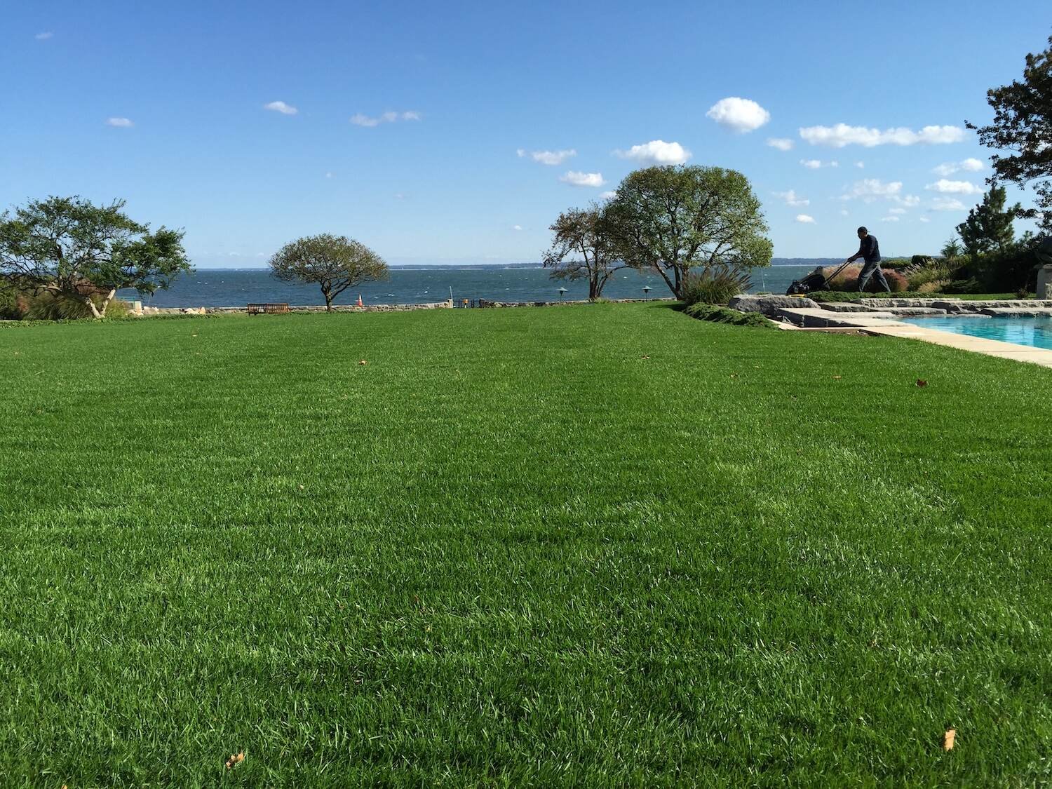 Landscape maintenance and lawn care Westchester County, NY.jpg