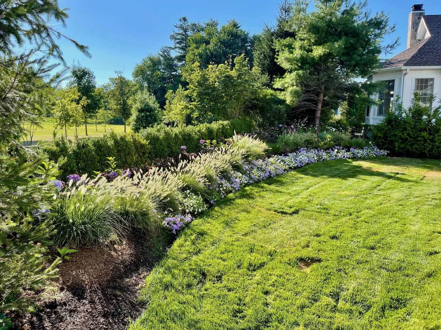 A healthy and well watered lawn with green grass and plantings in Westchester County, NY