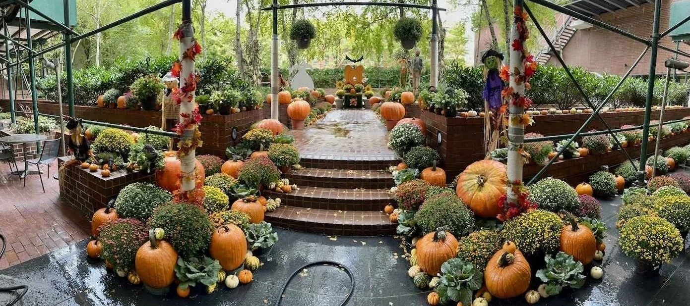 Seasonal displays for commercial rooftops in Westchester County, NY