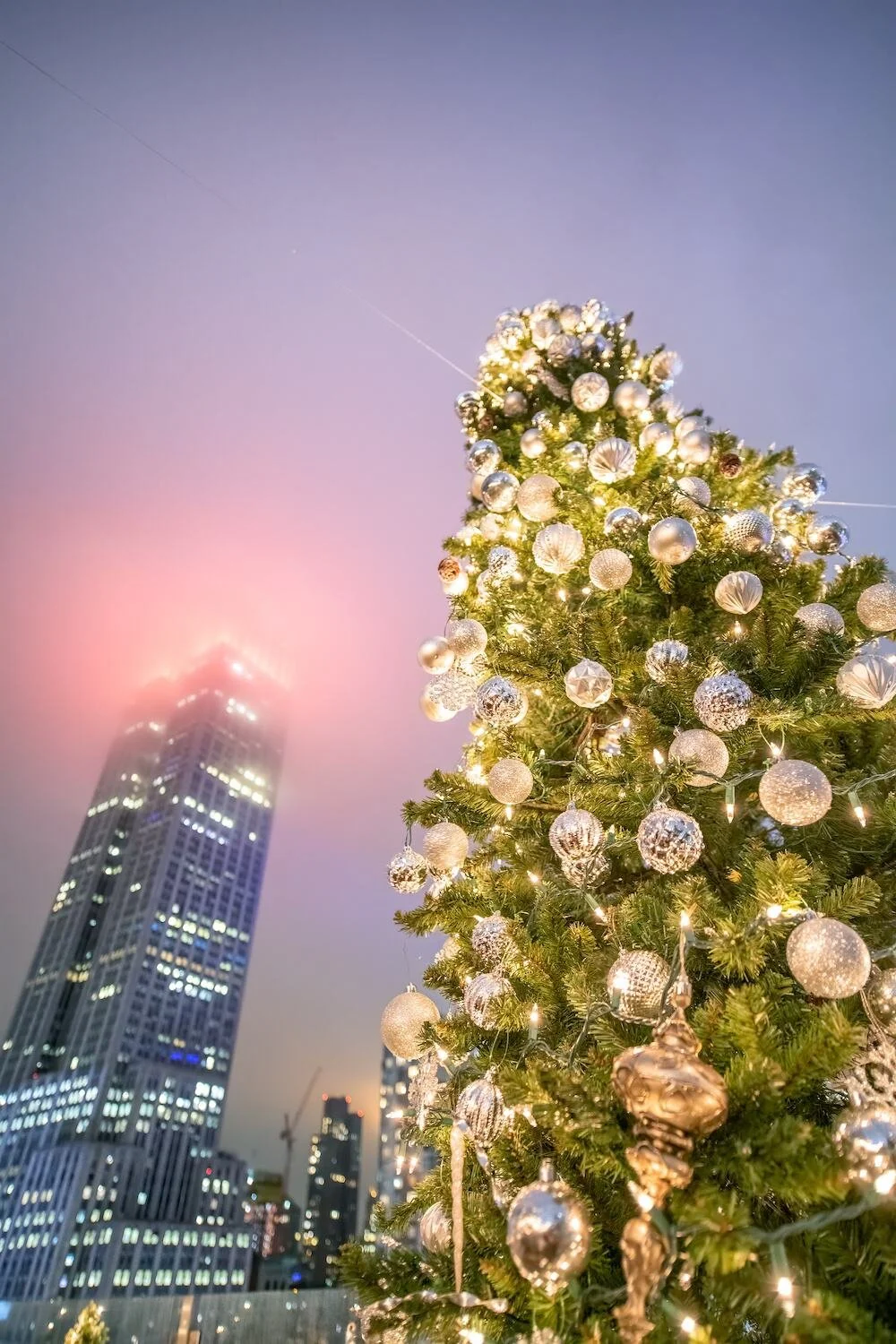A decorated Christmas tree on a commercial rooftop looking out on the New York skyline