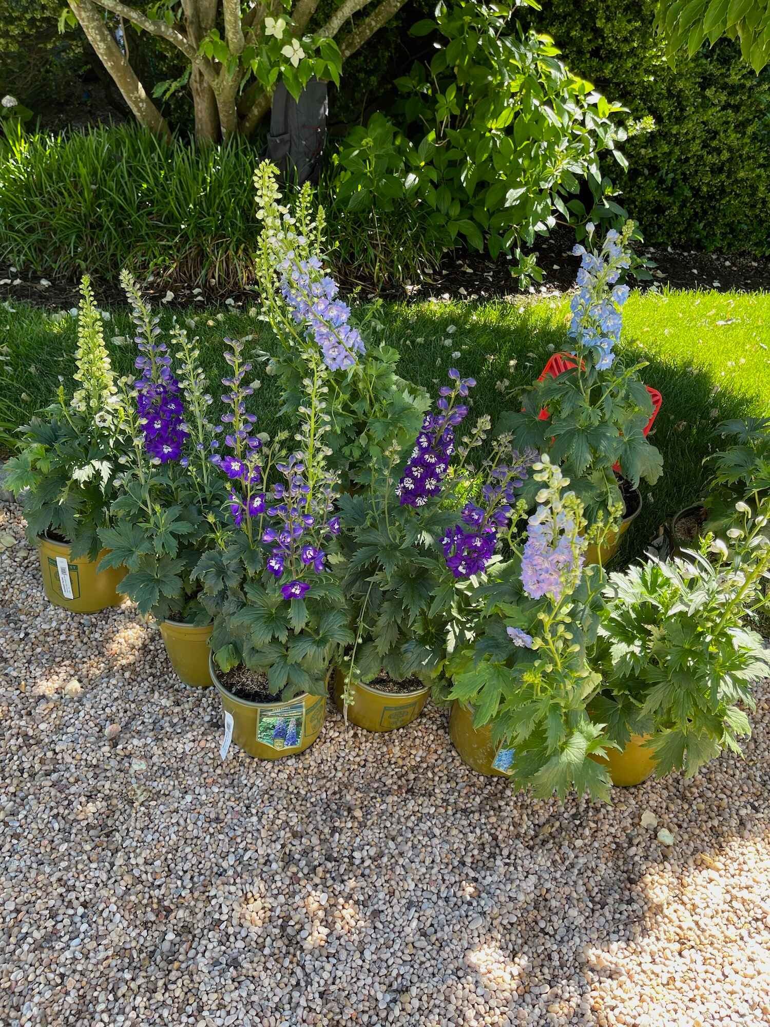 Plantings & Landscape Design Westchester County, NY