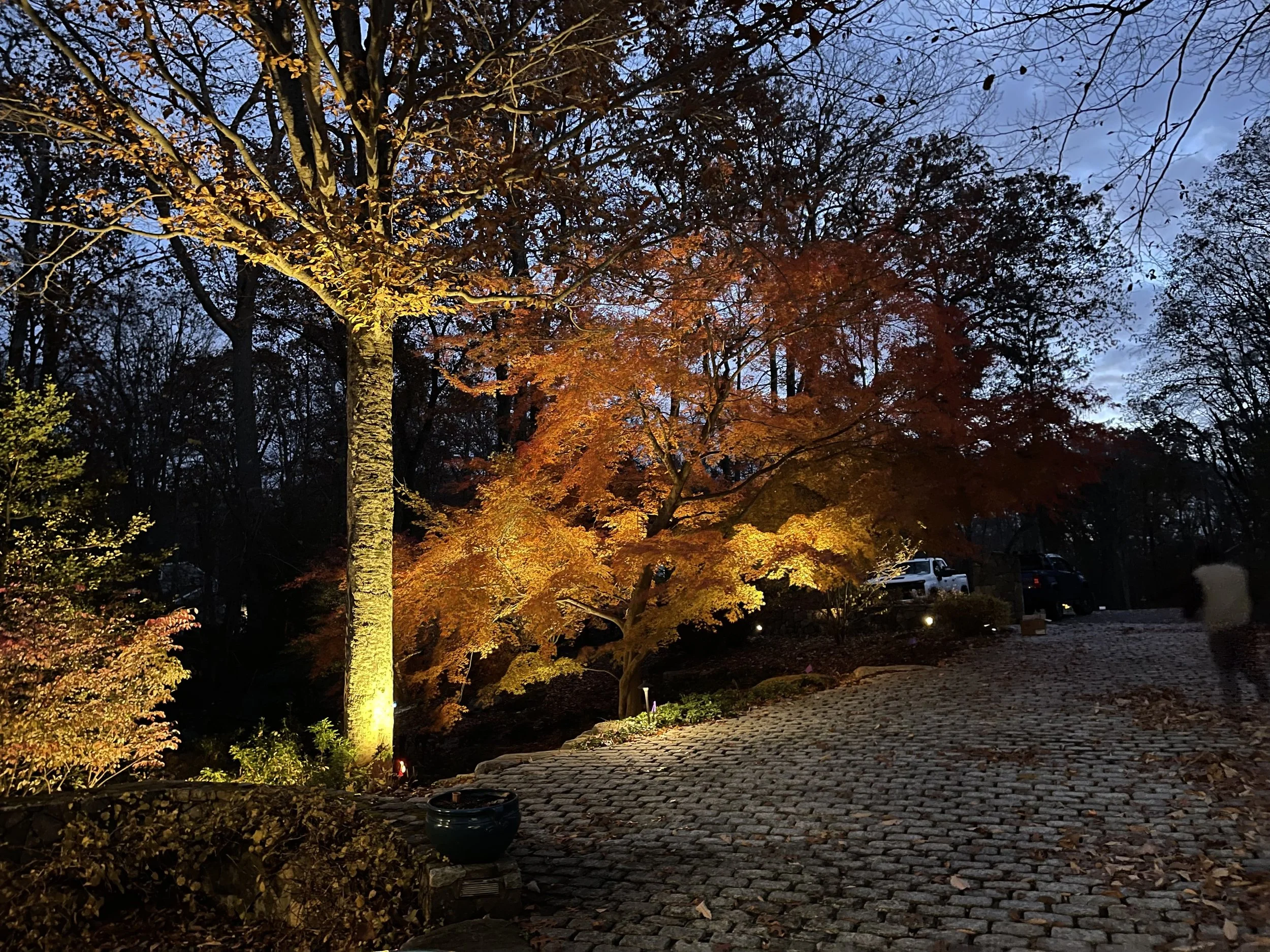 Landscape Lighting Westchester County, NY