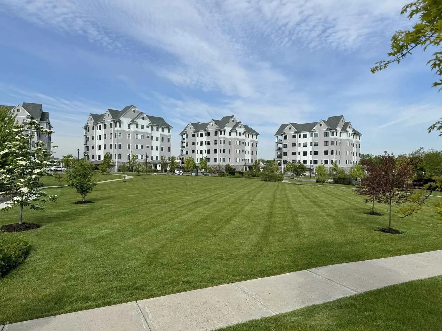 Commercial Turf & Lawn in Westchester County, NY