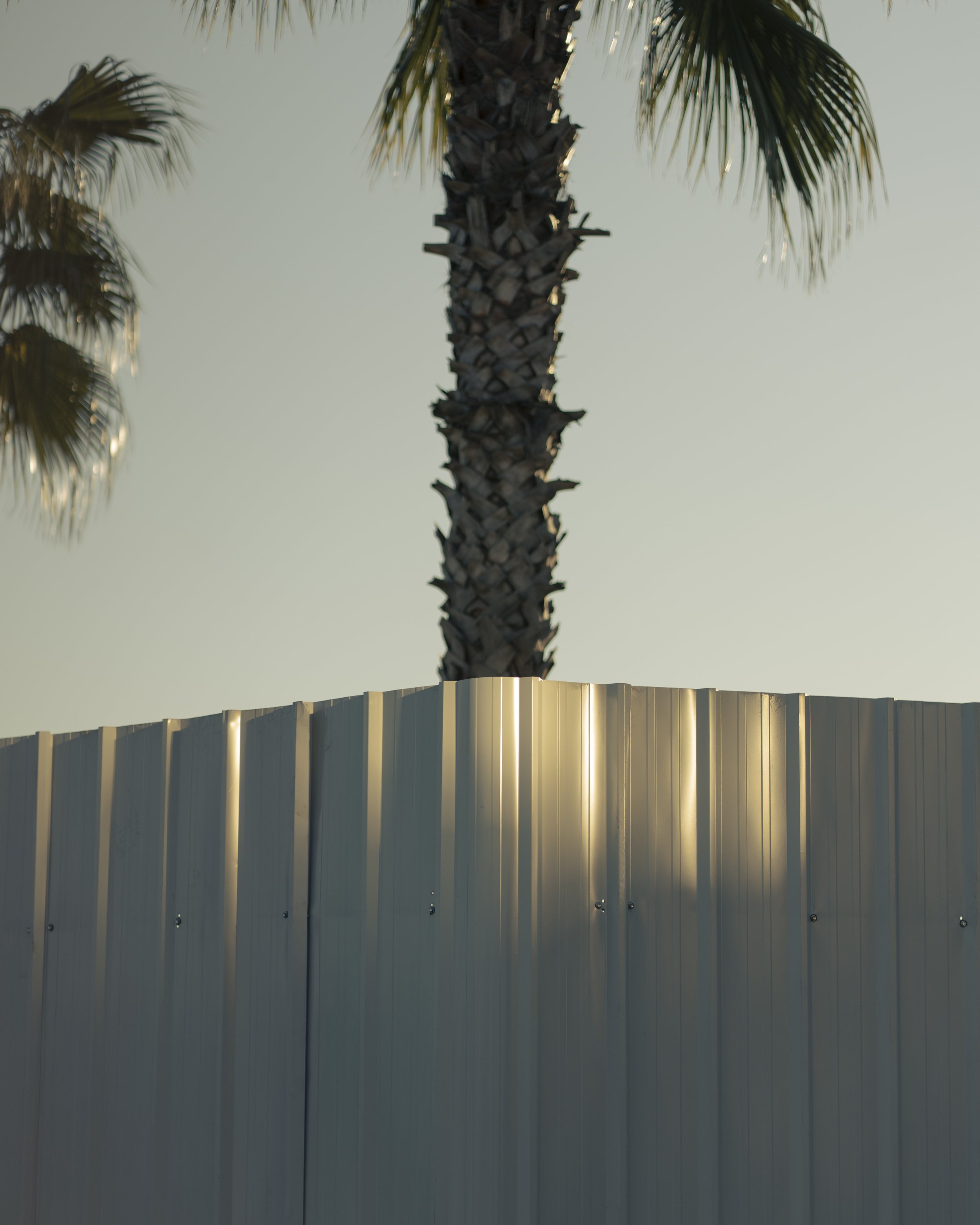 DSC07369.jpeg