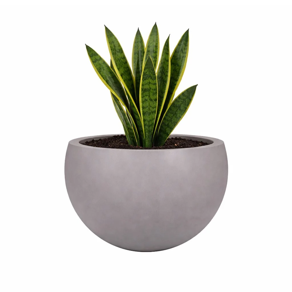 PurePots Margee Fiberglass Bowl_withplant.jpg