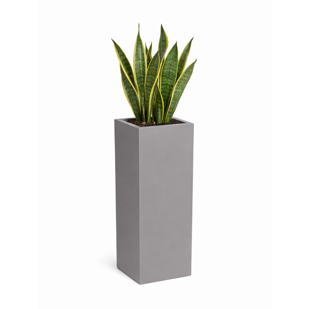 PurePots Amado Square Tower Fiberglass Planter_With Plant.png