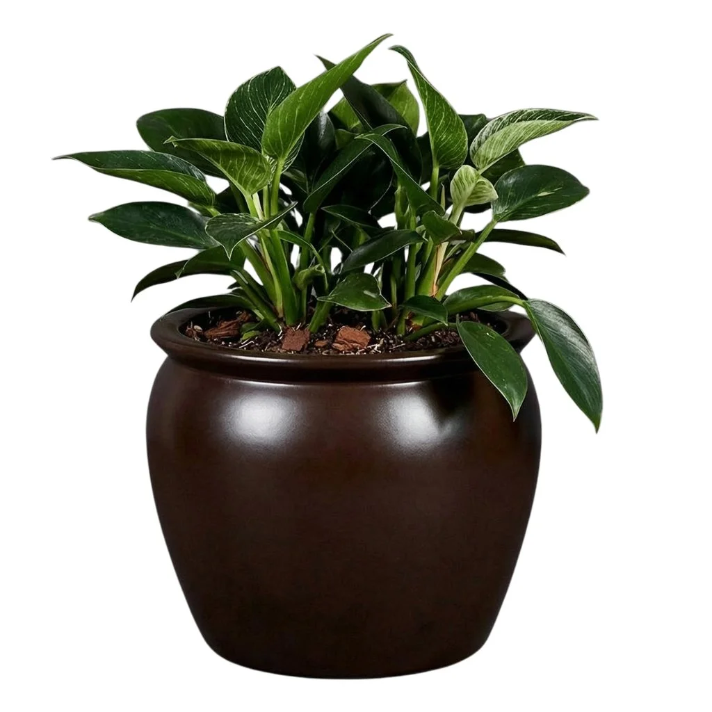 PurePots Quincy Tapered Round Fiberglass Pot - 4333R