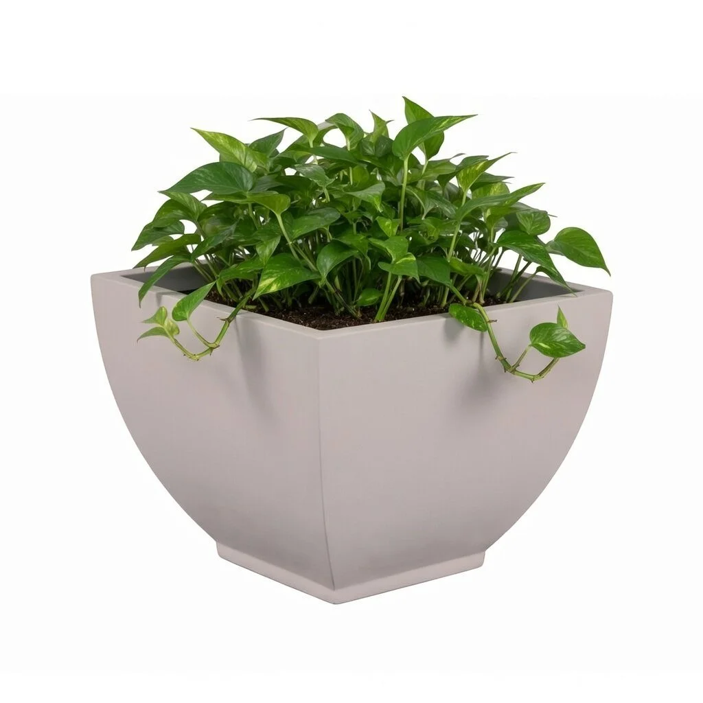 PurePots Cassia Square Tapered Planter_withplant.jpg