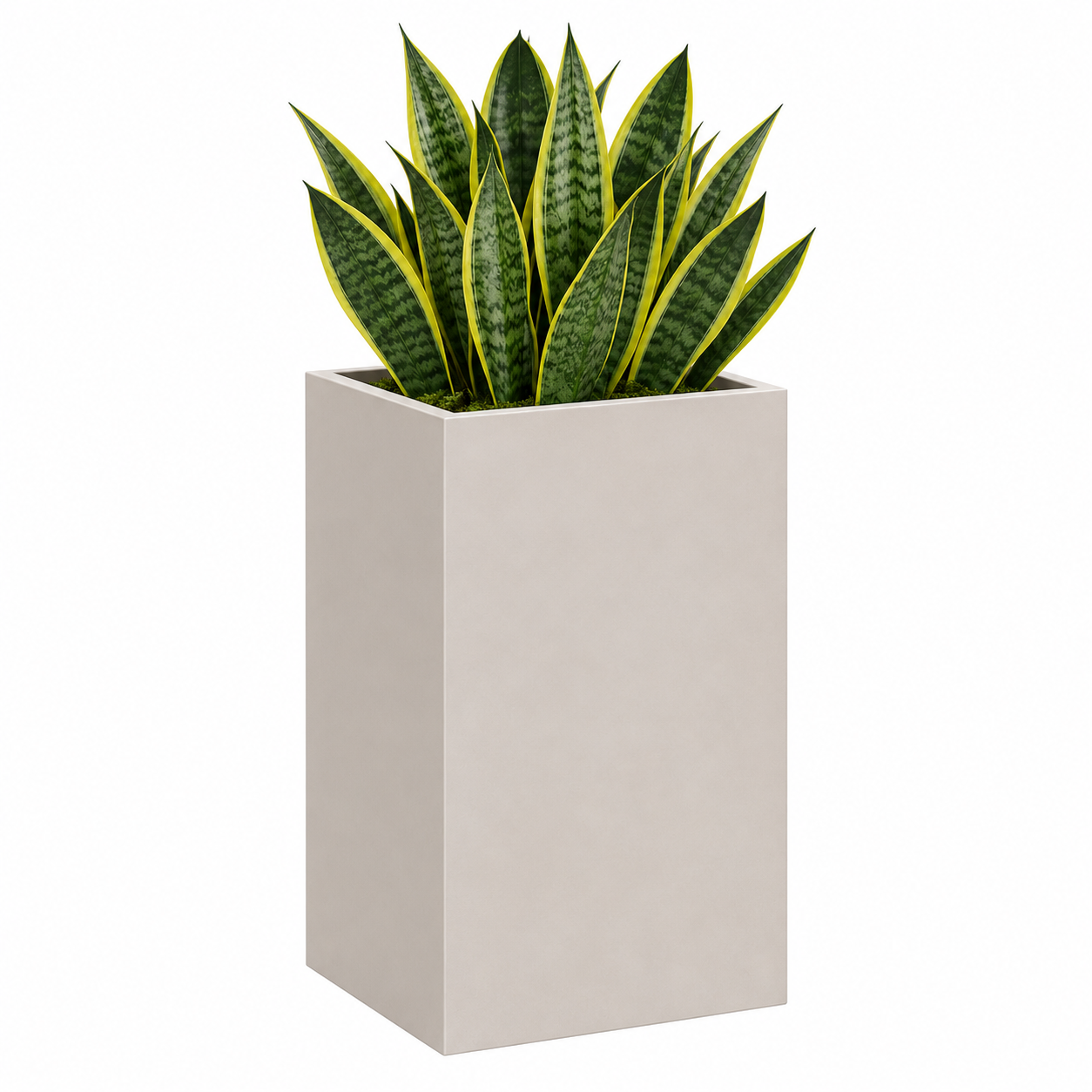 PurePots Anza Tower Square Planter - 4216S