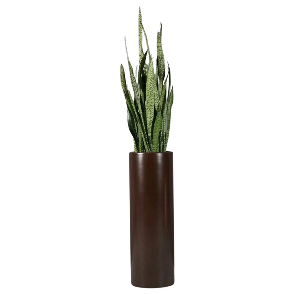 PurePots Felicia Round Cylinder Planter-dark brown_plant.jpg