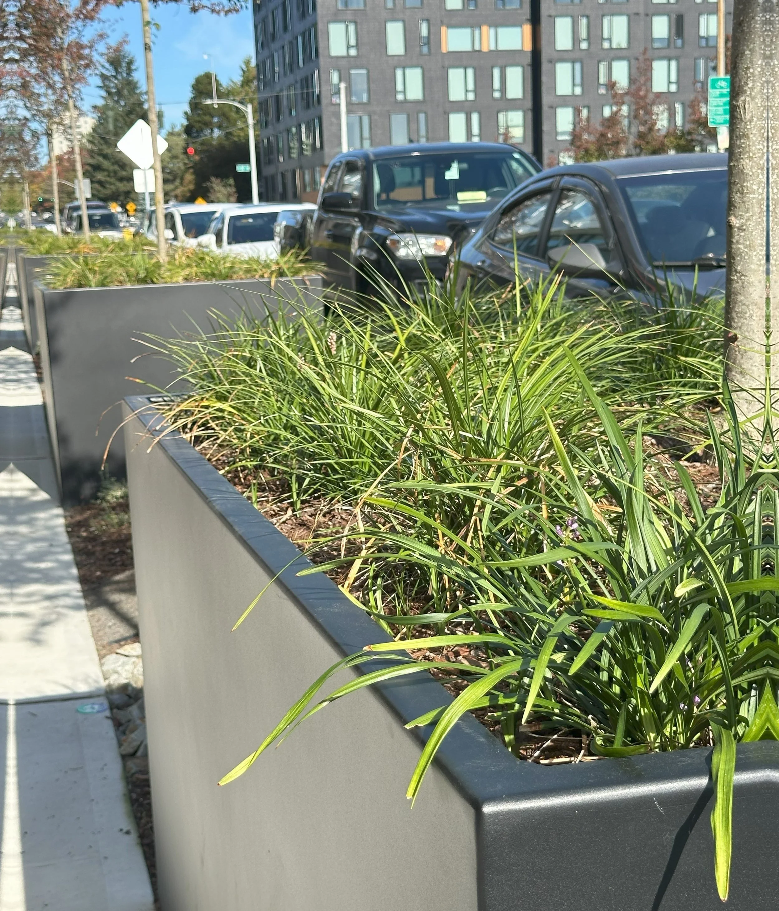 Clear Water Planters For Luxury Rooftop Gardens
