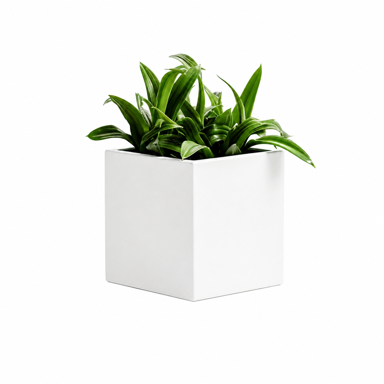 PurePots Carillo Square Fiberglass Planter - 4210S