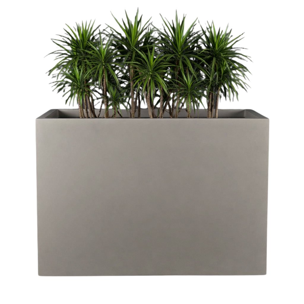 PurePots Quincy Rectangle Fiberglass Planter_Grey_with plant.jpg