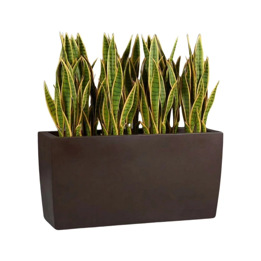 PurePots Amber Tapered Rectangle Planter-with plant.jpg