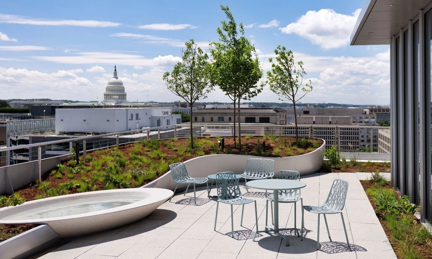 Rooftop terrace featuring curved custom planters filled with low greenery and three young trees, modern metal café tables and chairs, and a distant view of the U.S. Capitol dome rising above the Washington, D.C. skyline under a partly cloudy sky.