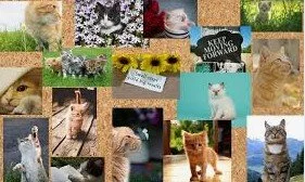 Mood/Vision Board Night