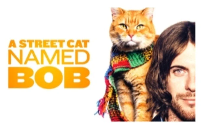 Mewvie Night - A Street Cat Named Bob