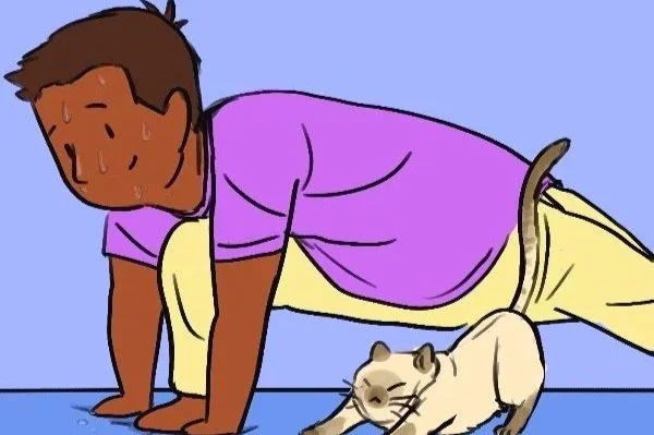 Paw-lates with the Cats