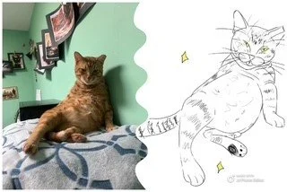 "We Try Out Best" Pet Portrait Drawings