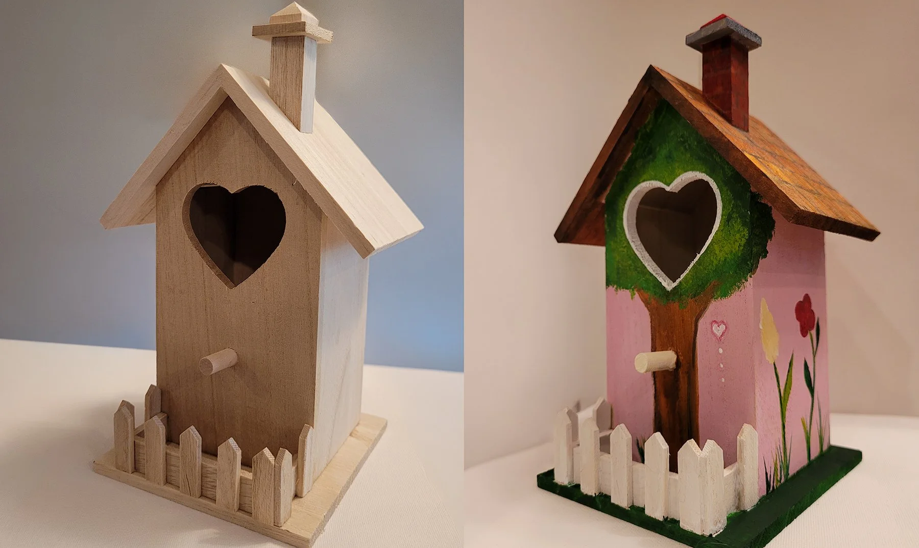 "Bird TV" Paws & Paint