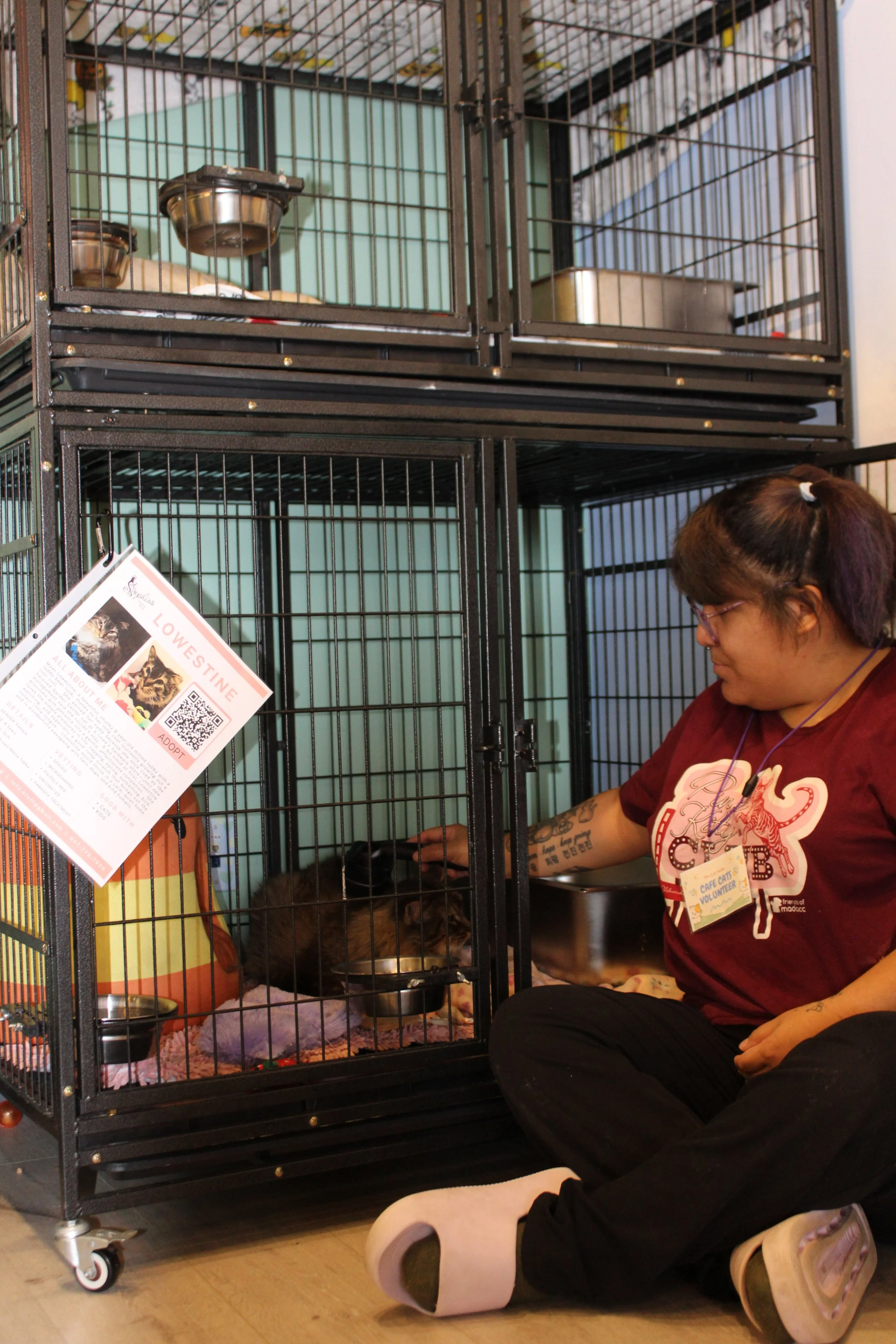 A volunteer in a maroon shirt sitting on the floor next to a black metal cage with a cat inside, at a pet adoption event, with another cage above.