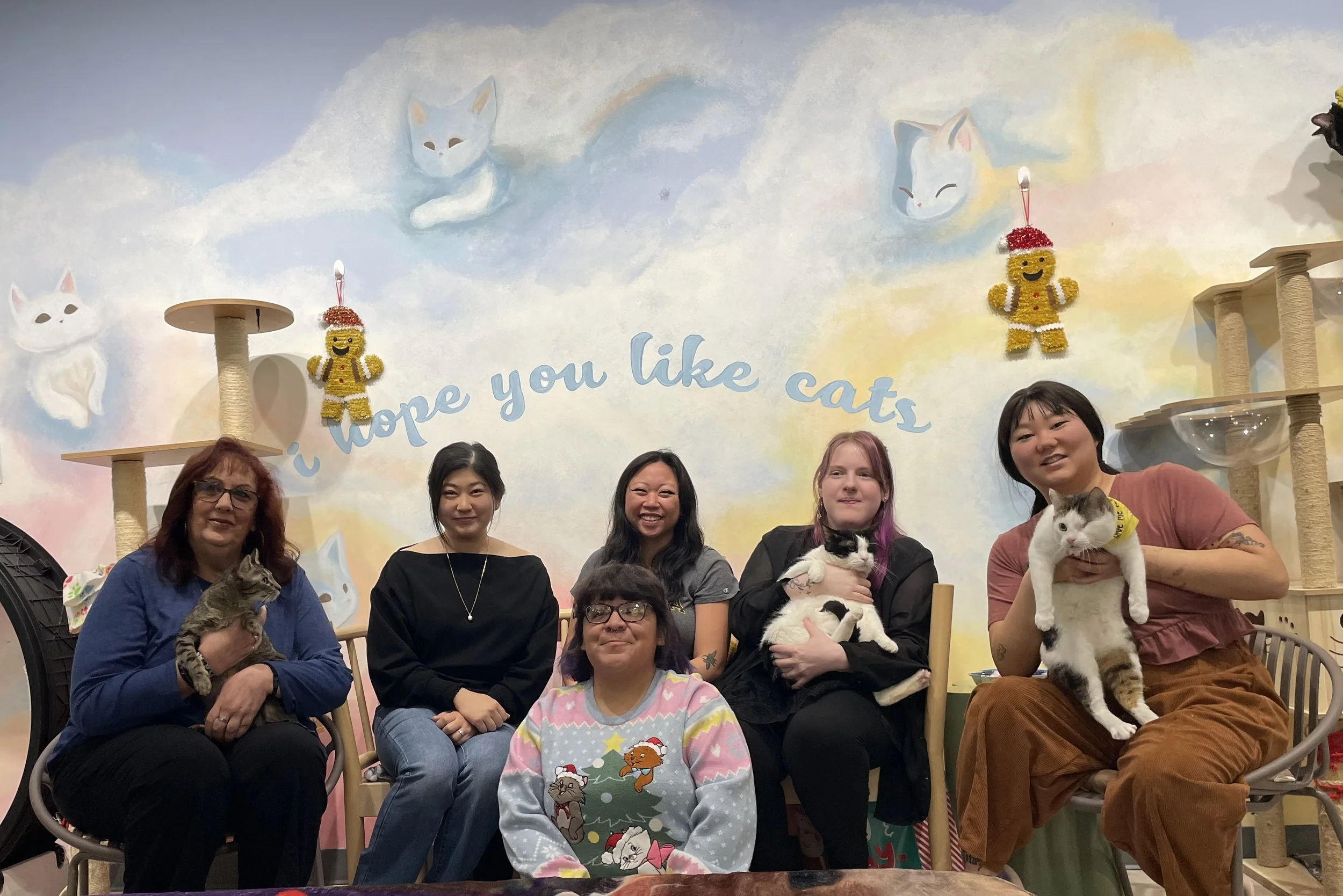 Group of five women with cats seated in front of a colorful wall with cat illustrations and the phrase 'hope you like cats' at a cat cafe.