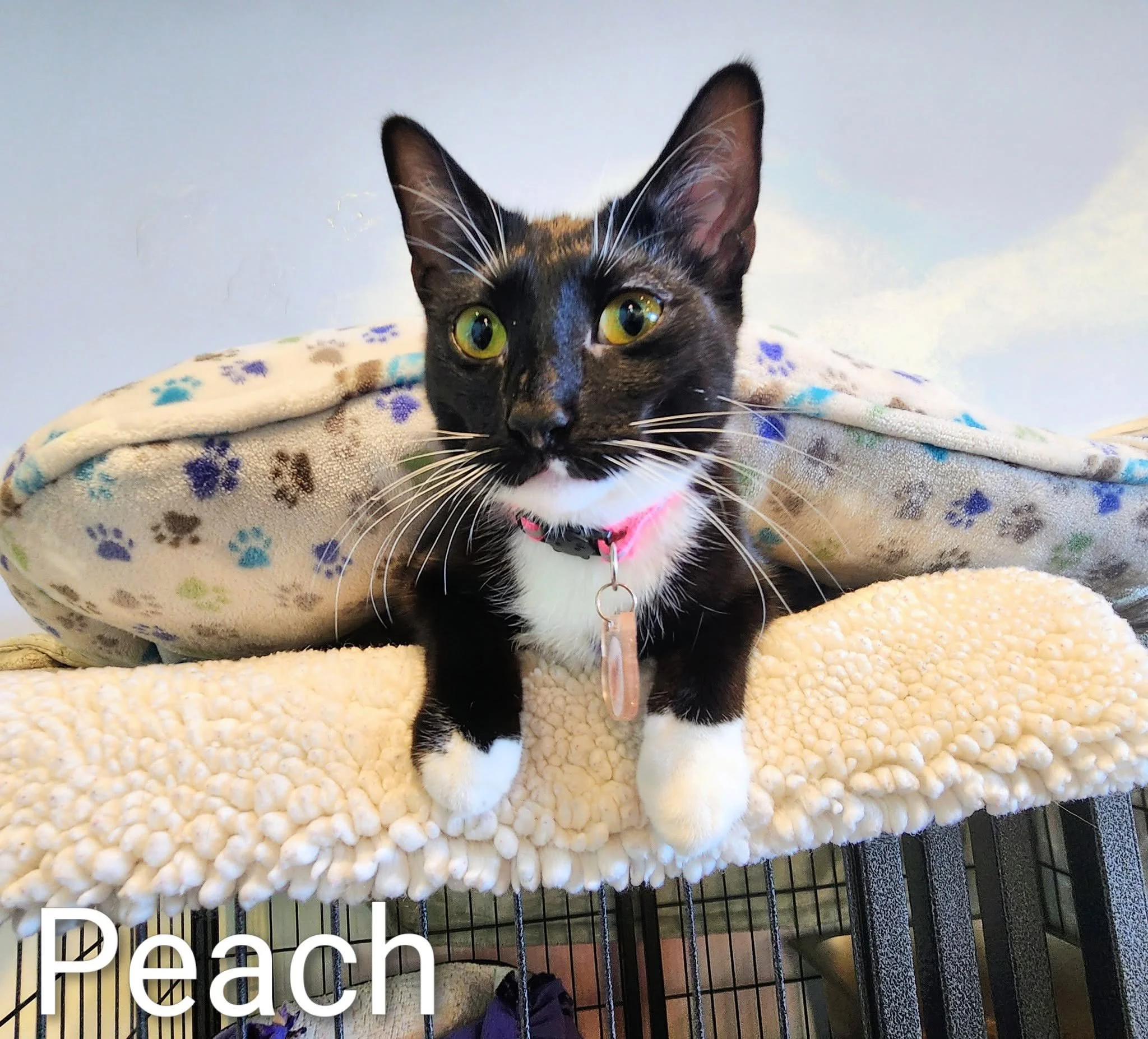 Peach