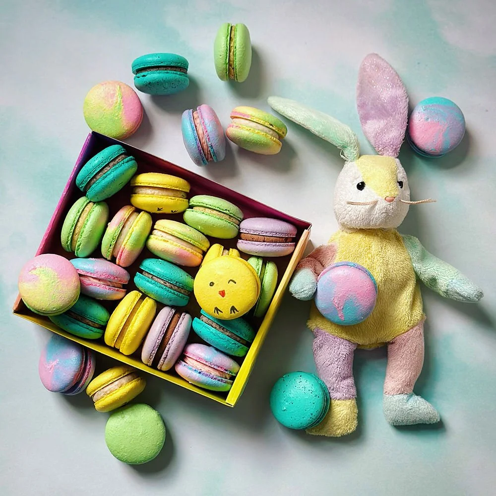 easter themed macarons with stuffed bunny (Copy) (Copy)