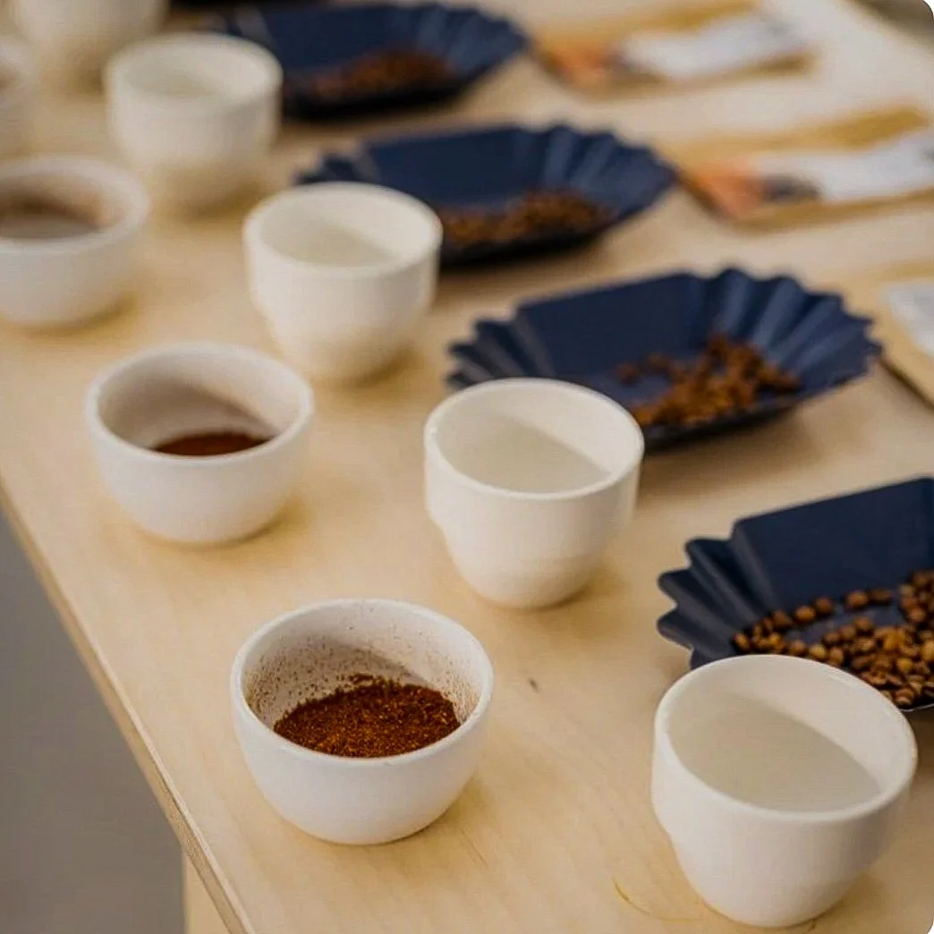 Wood st cupping