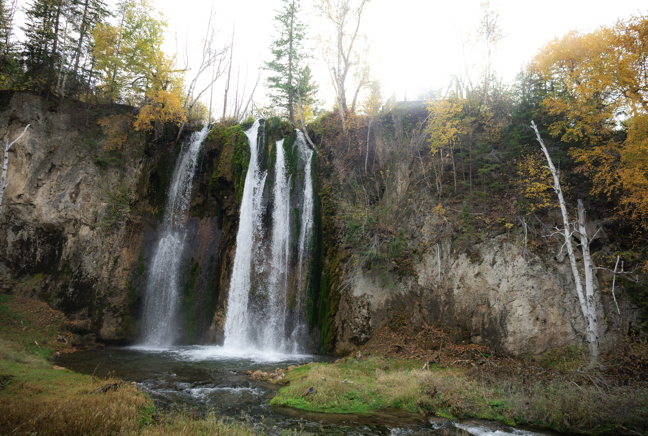 Screenshot 2024-02-06 at 12.28.37 PM.png