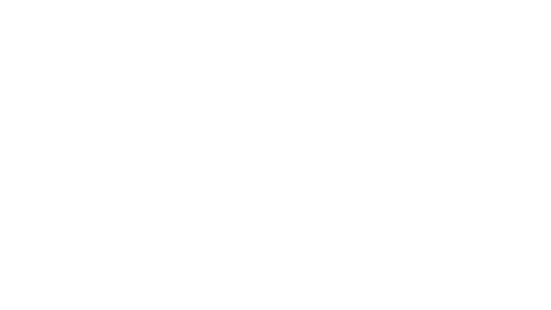 CHF VNX.png