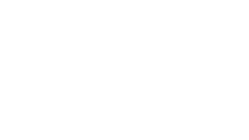 Zarp Coin.png