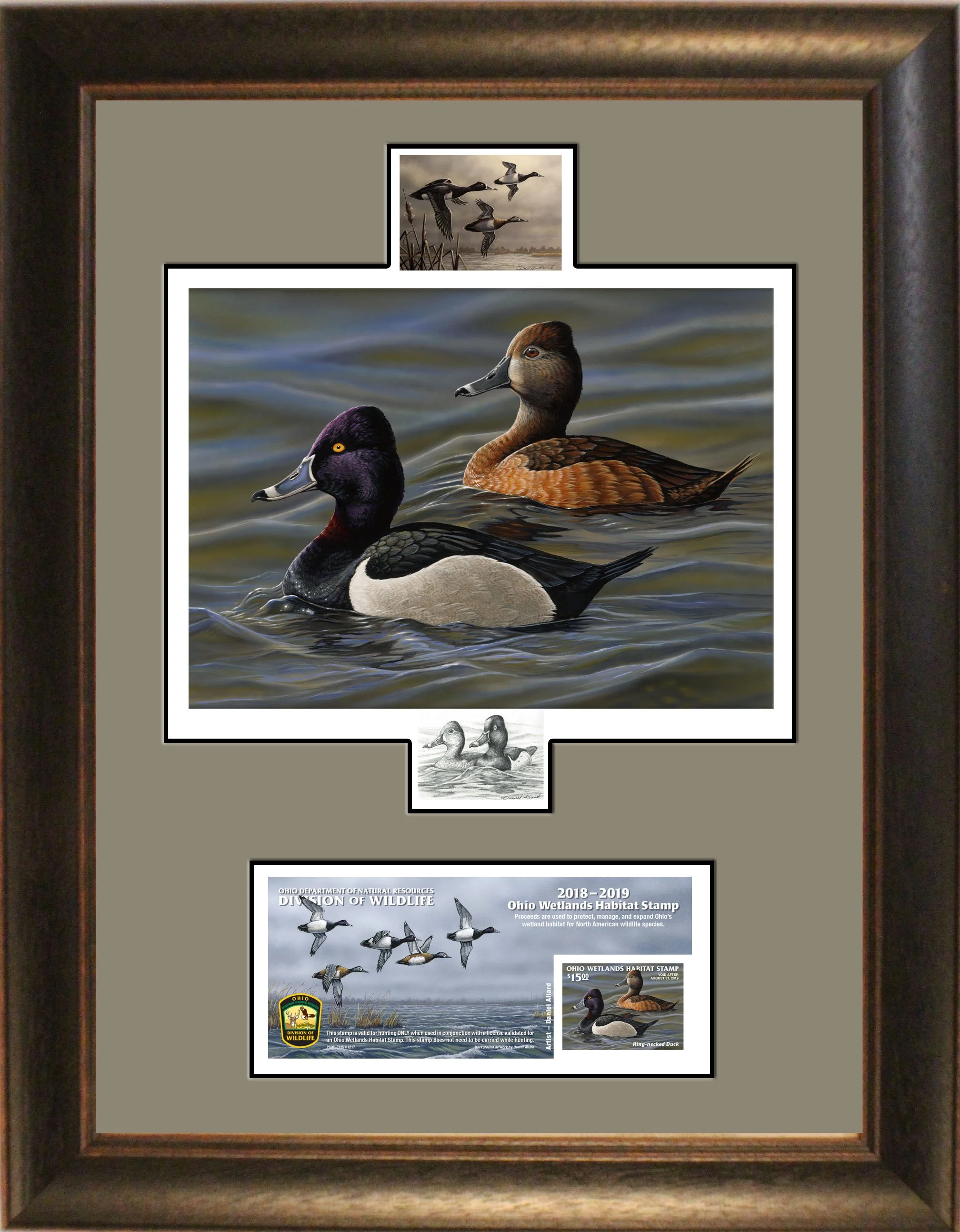 2018-19 Ohio Wetlands Habitat Stamp Executive Edition Framed