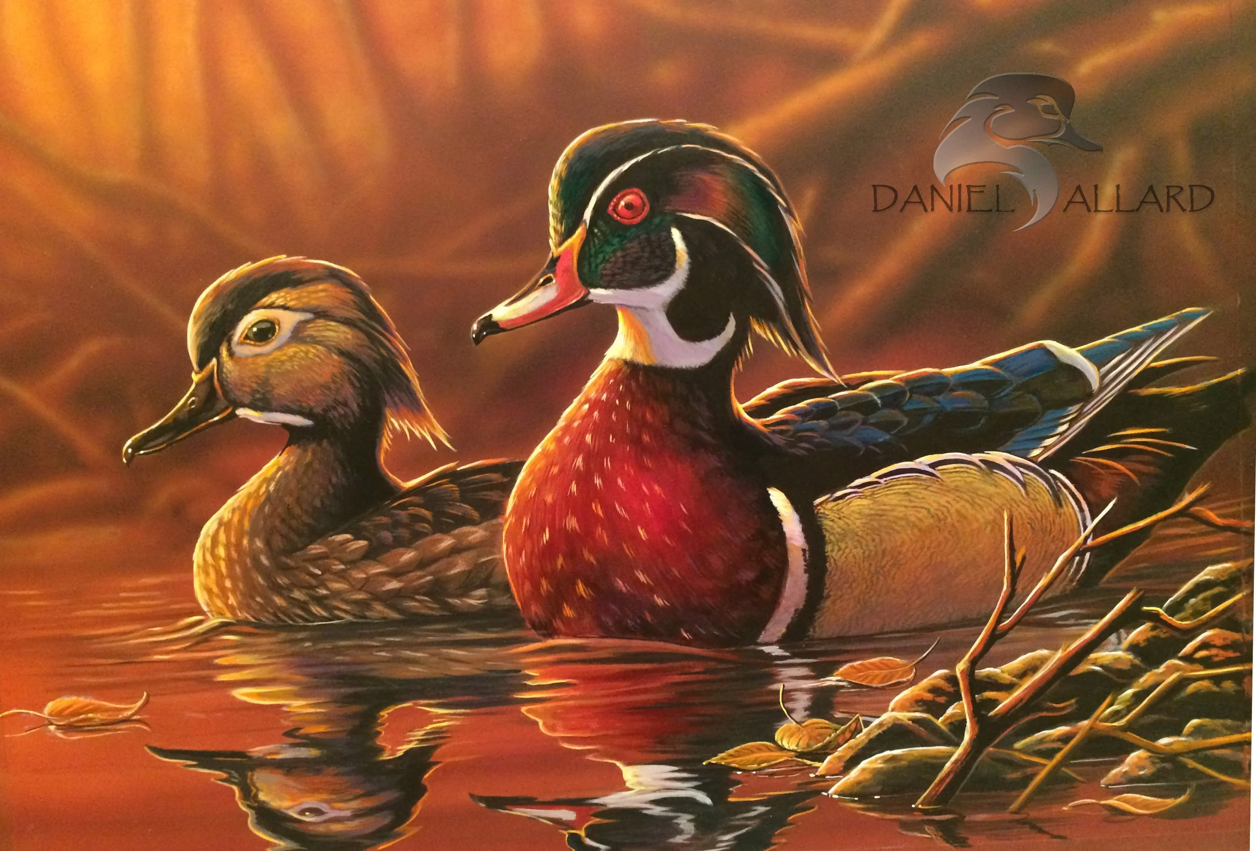 Forest Fire-Wood Ducks
