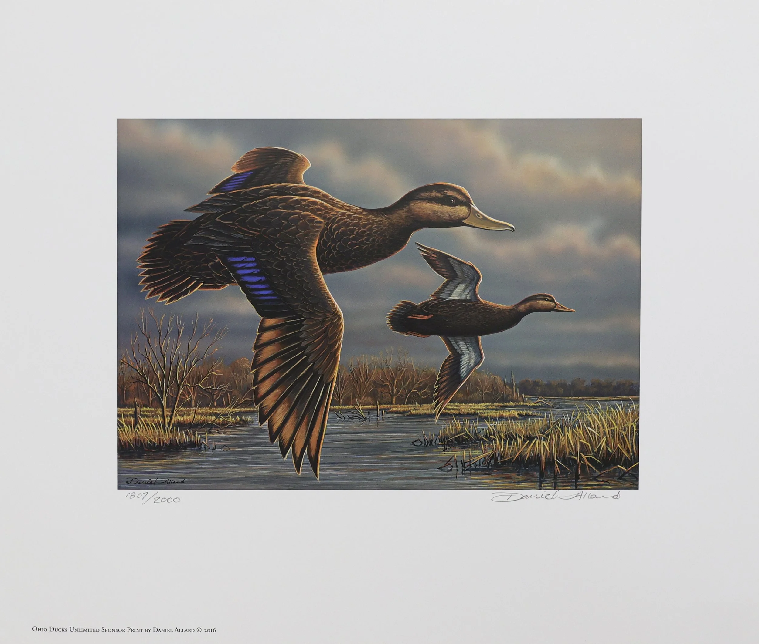 2017 Ducks Unlimited Ohio Sponsor Print