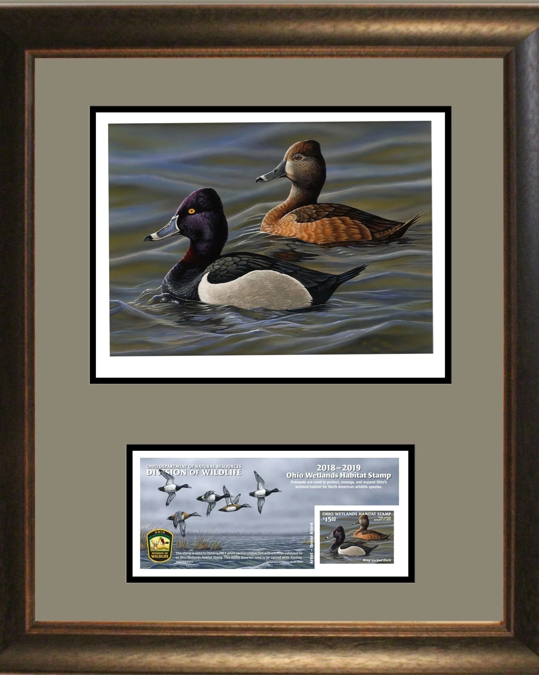 2018-19 Ohio Wetlands Habitat Stamp Collector's Print Framed