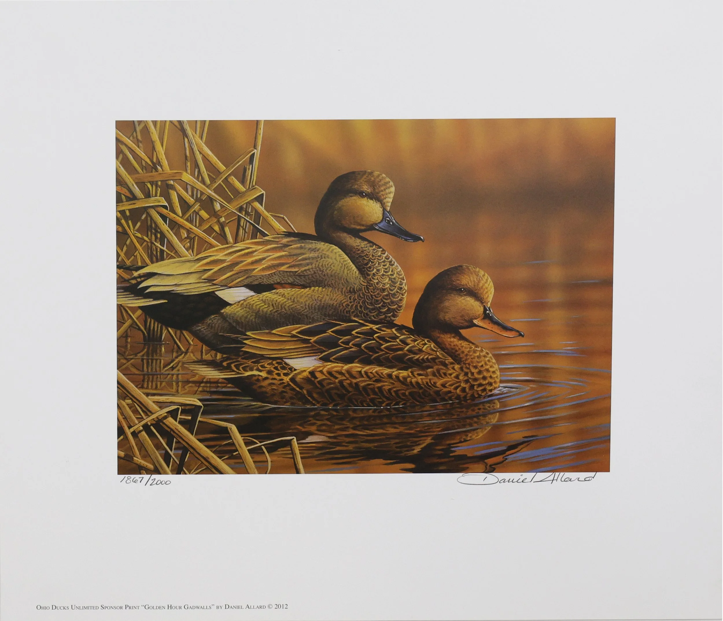 2012 Ducks Unlimited Ohio Sponsor Print (Print Only)