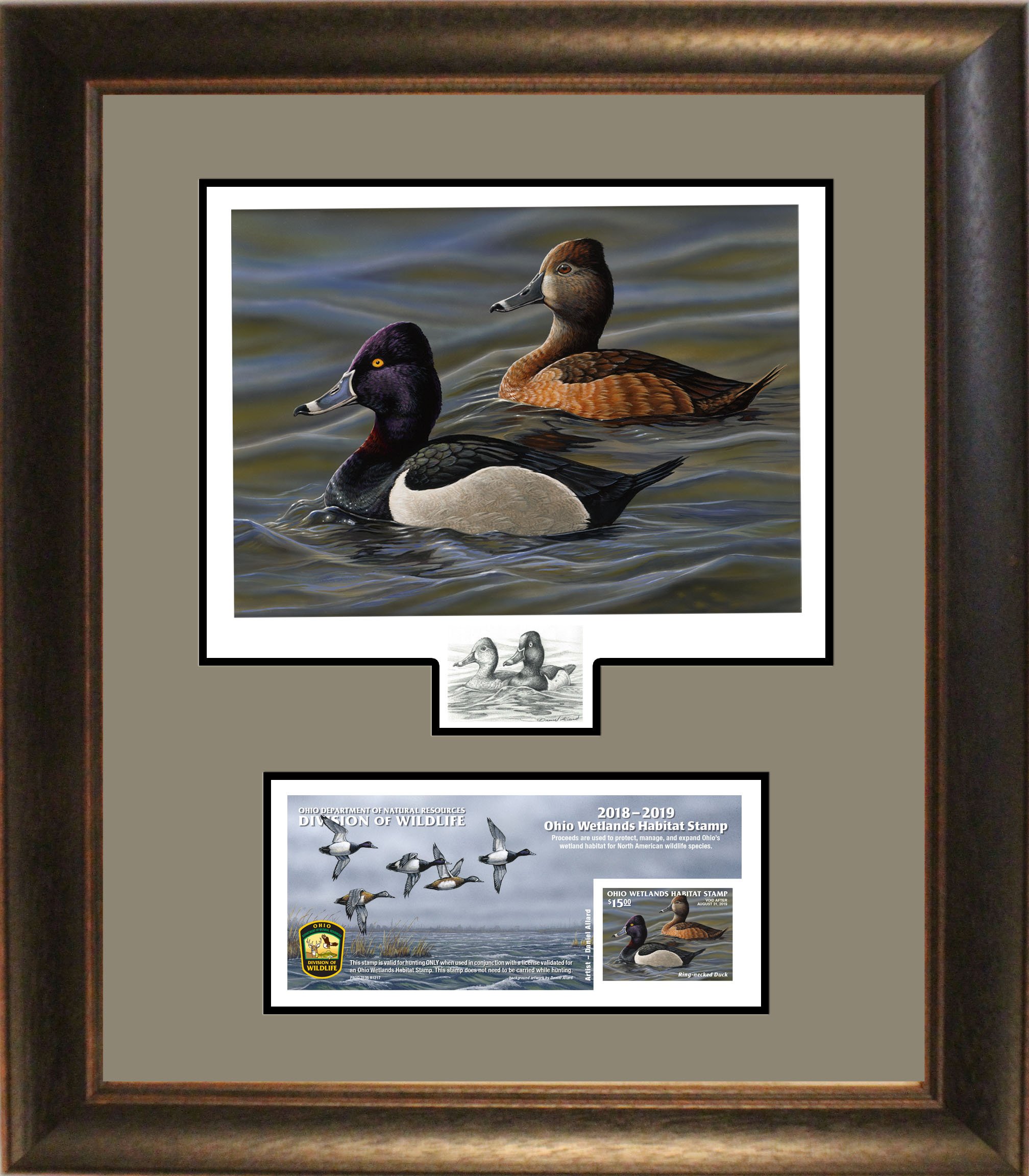 2018-19 Ohio Wetlands Habitat Stamp Artist Proof Edition Framed