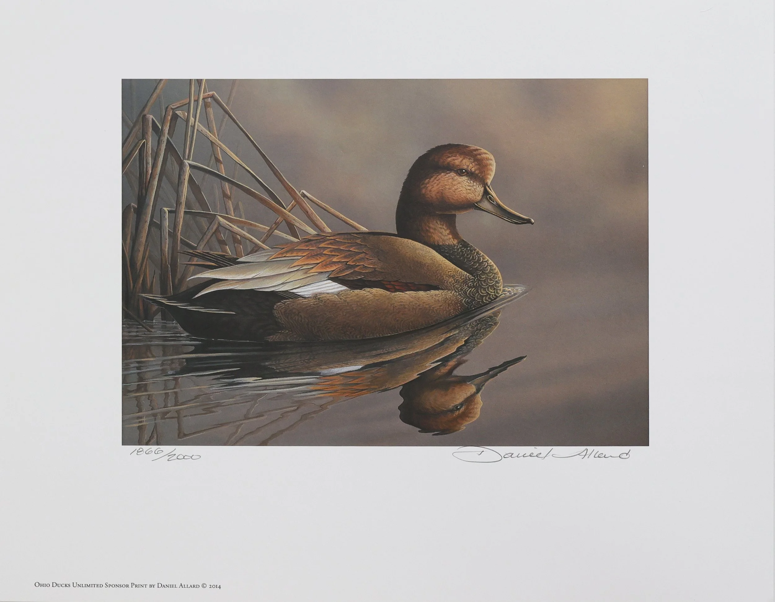 2014 Ducks Unlimited Ohio Sponsor Print (Print Only)