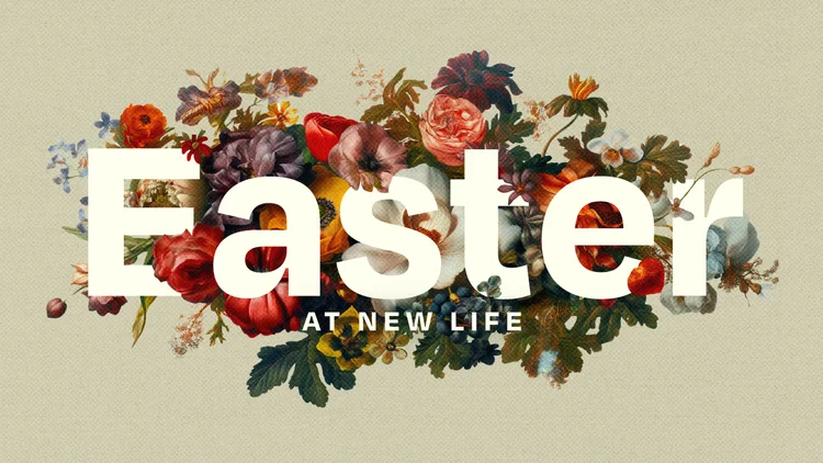 New Life Church | Alamo, CA – Experience Grace, Faith & Community