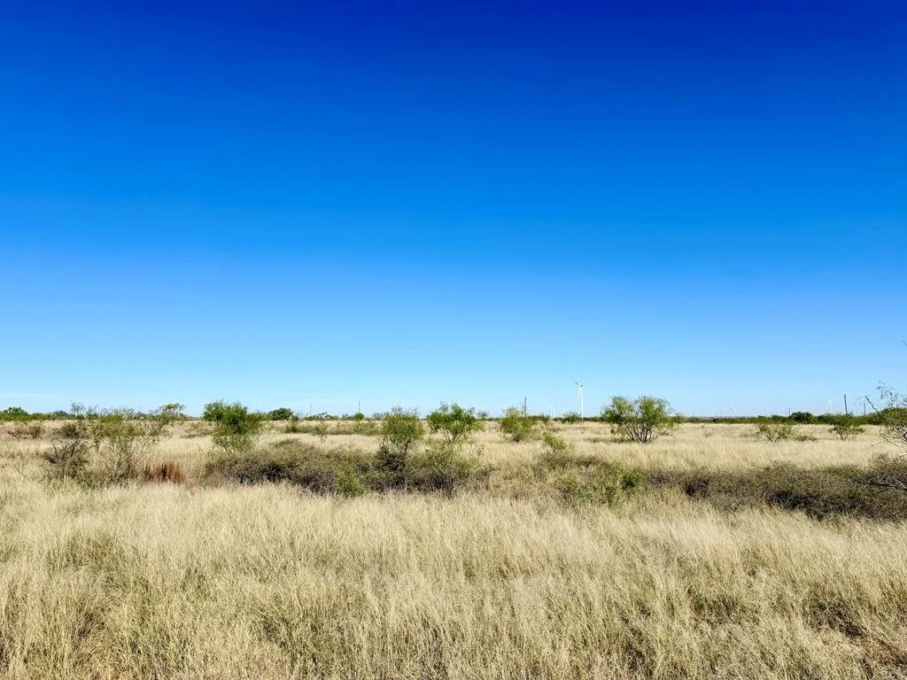 Open plain with dry grass, scattered bushes, and wind turbines under a clear blue sky.