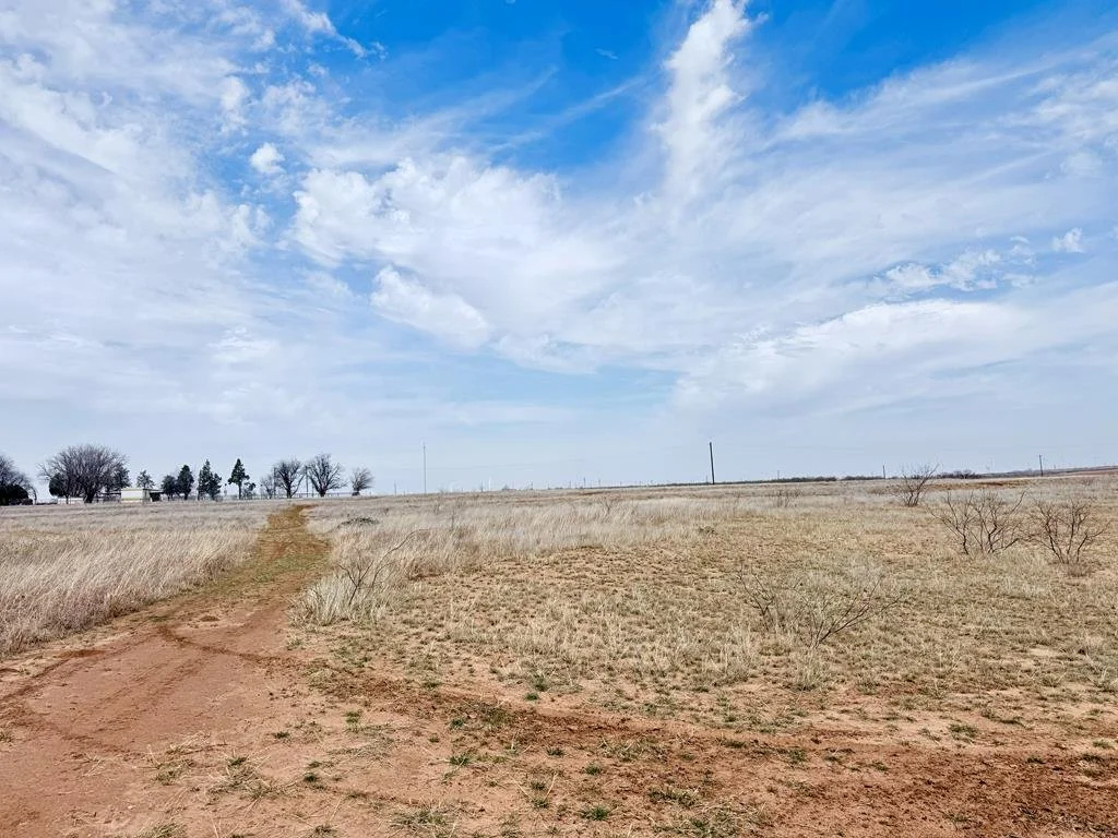 Open field with dry grass and a dirt path, scattered small bushes, and a row of trees in the distance under a partly cloudy blue sky.