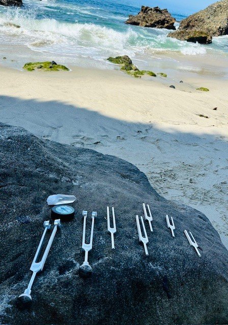 Laguna Beach Tuning Forks.jpg
