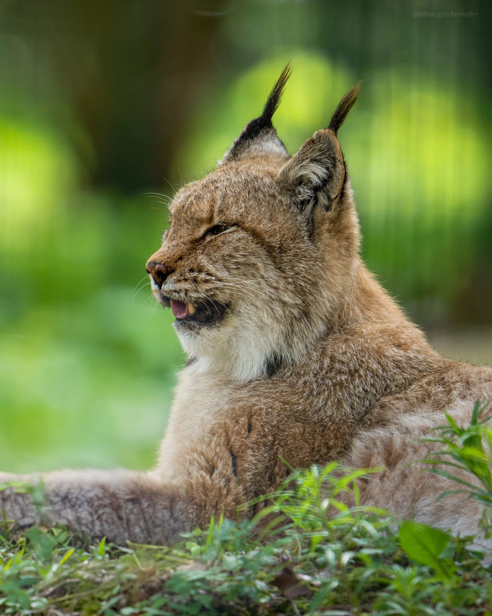 A7_04395-Edit.jpg